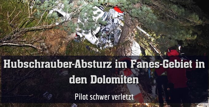 Pilot schwer verletzt