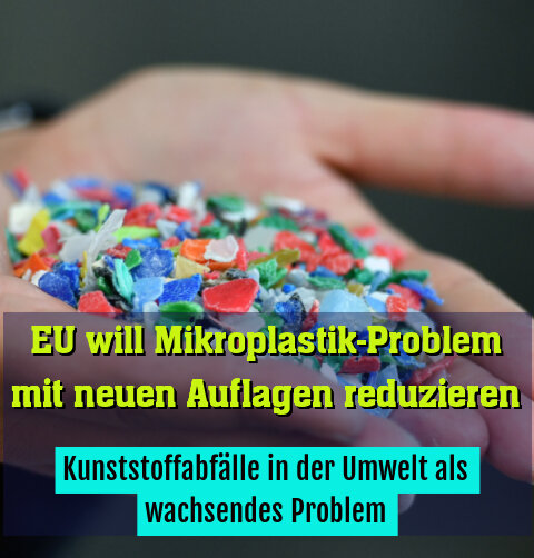 Kunststoffabfälle in der Umwelt als wachsendes Problem