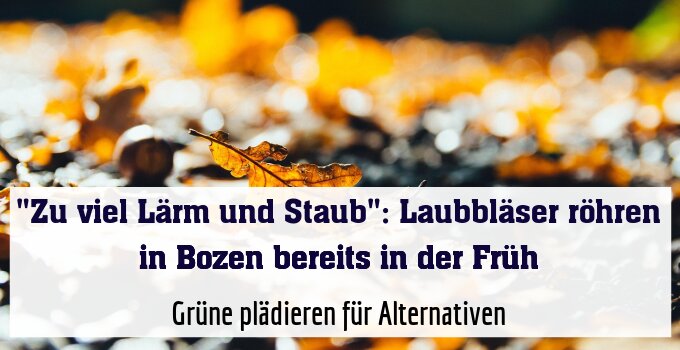 Grüne plädieren für Alternativen