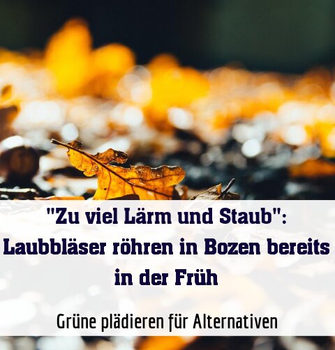 Grüne plädieren für Alternativen