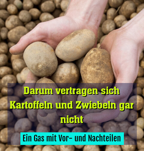 Ein Gas mit Vor- und Nachteilen