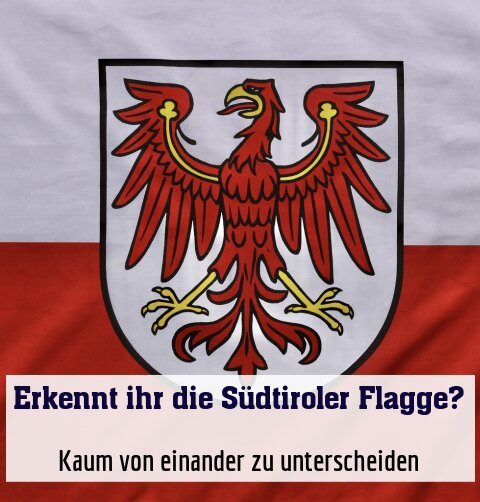 Kaum von einander zu unterscheiden