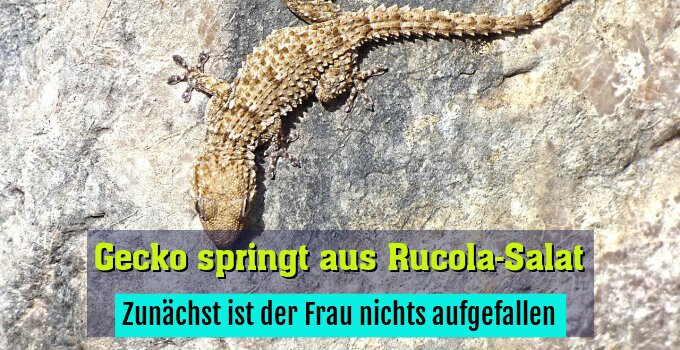 Zunächst ist der Frau nichts aufgefallen