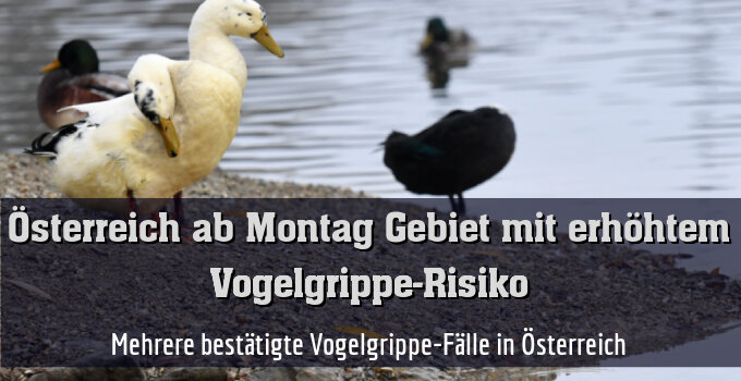 Mehrere bestätigte Vogelgrippe-Fälle in Österreich
