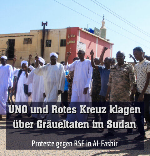 Proteste gegen RSF in Al-Fashir