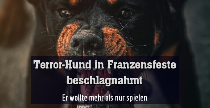 Er wollte mehr als nur spielen