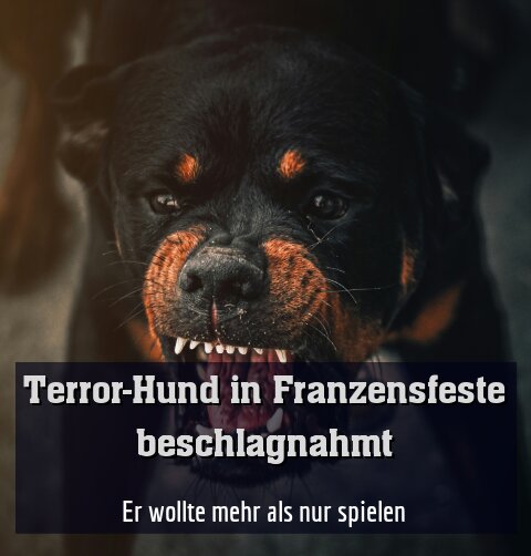 Er wollte mehr als nur spielen