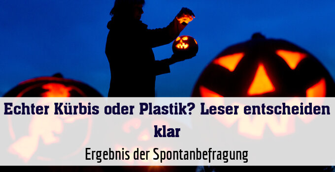 Ergebnis der Spontanbefragung