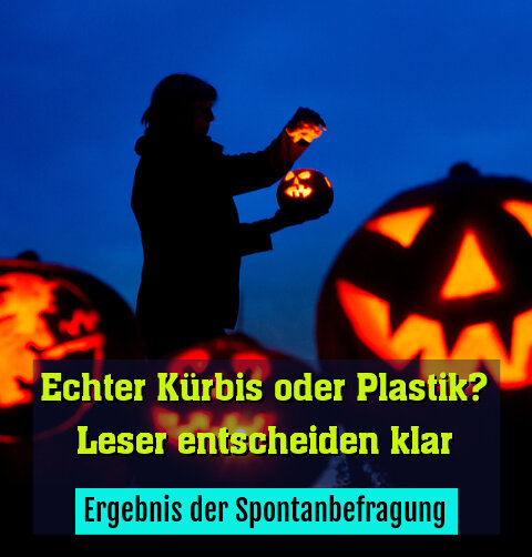 Ergebnis der Spontanbefragung