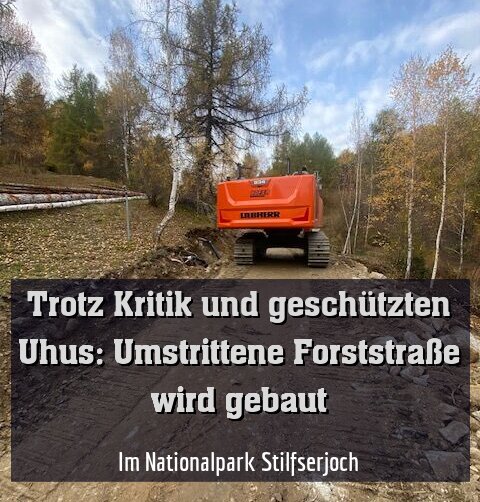 Im Nationalpark Stilfserjoch