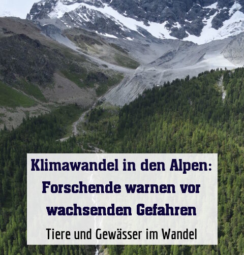 Tiere und Gewässer im Wandel
