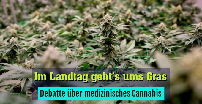 Debatte über medizinisches Cannabis