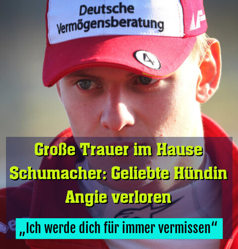 „Ich werde dich für immer vermissen“