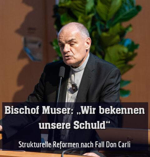 Strukturelle Reformen nach Fall Don Carli
