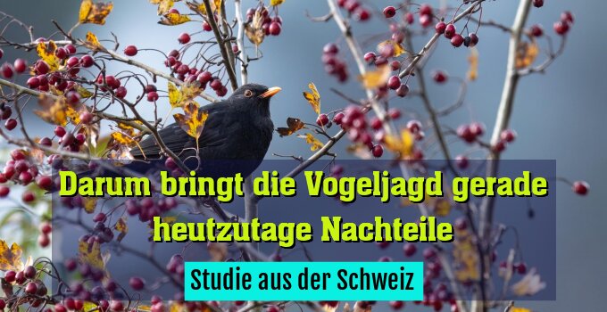 Studie aus der Schweiz