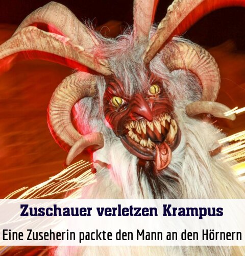 Eine Zuseherin packte den Mann an den Hörnern