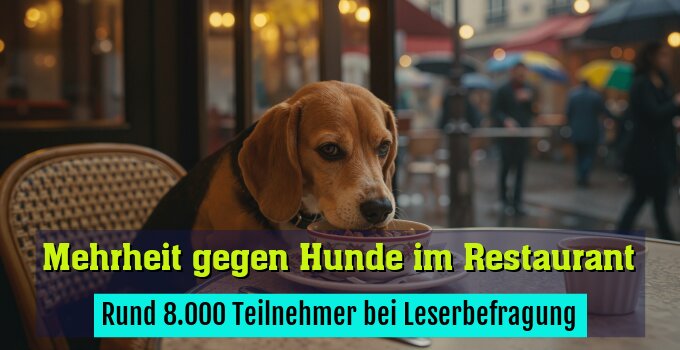 Rund 8.000 Teilnehmer bei Leserbefragung