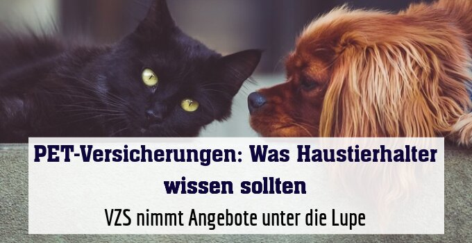 VZS nimmt Angebote unter die Lupe