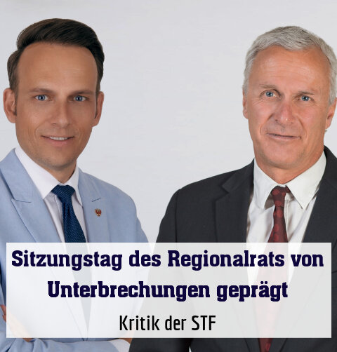 Kritik der STF