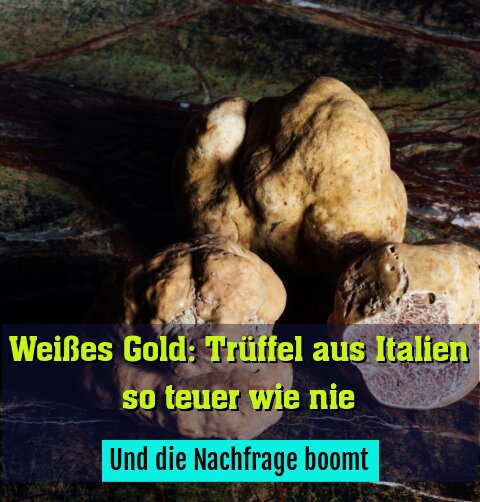 Und die Nachfrage boomt