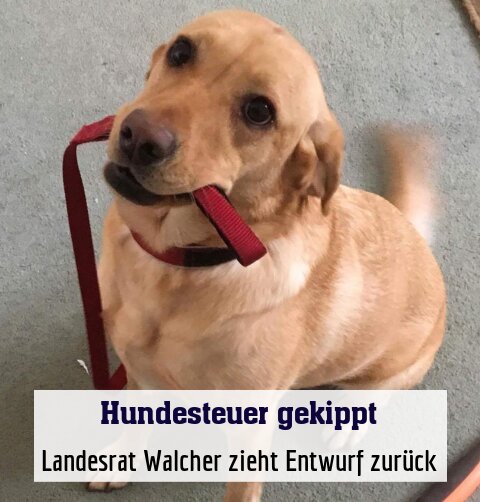 Landesrat Walcher zieht Entwurf zurück