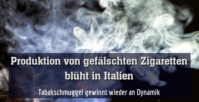 Tabakschmuggel gewinnt wieder an Dynamik