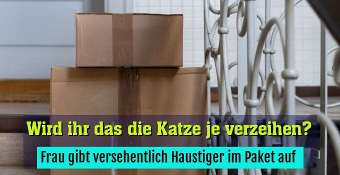 Frau gibt versehentlich Haustiger im Paket auf 