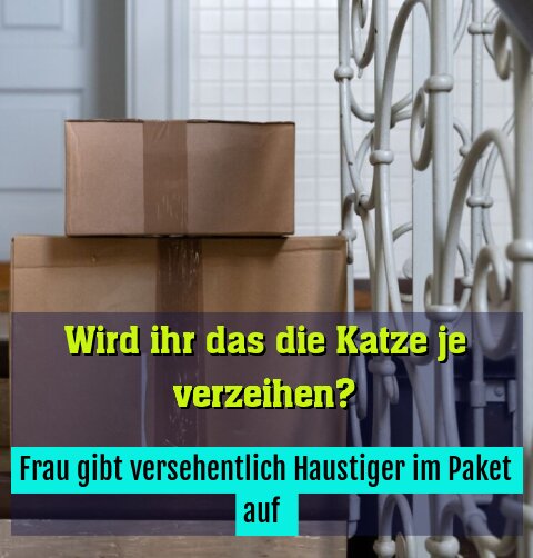 Frau gibt versehentlich Haustiger im Paket auf 