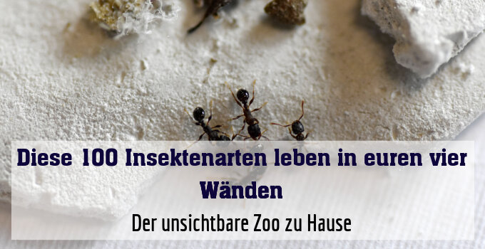 Der unsichtbare Zoo zu Hause