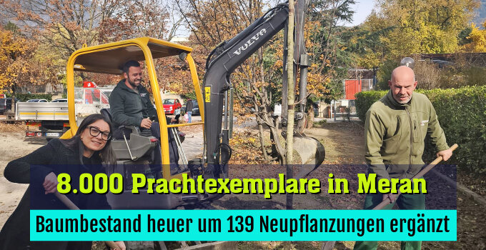 Baumbestand heuer um 139 Neupflanzungen ergänzt