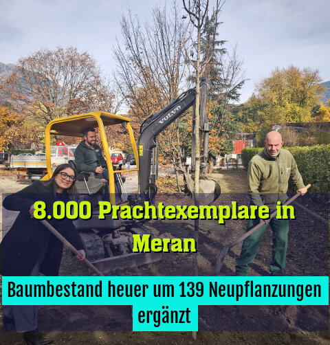 Baumbestand heuer um 139 Neupflanzungen ergänzt