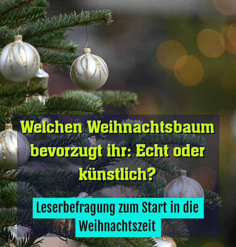 Leserbefragung zum Start in die Weihnachtszeit