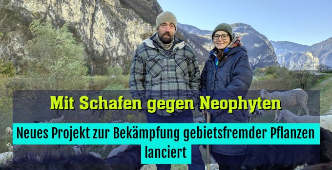 Neues Projekt zur Bekämpfung gebietsfremder Pflanzen lanciert