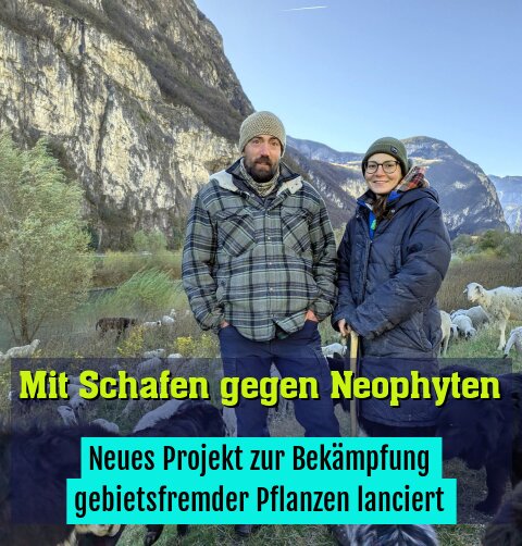 Neues Projekt zur Bekämpfung gebietsfremder Pflanzen lanciert