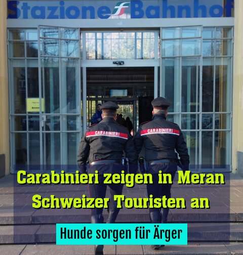 Hunde sorgen für Ärger