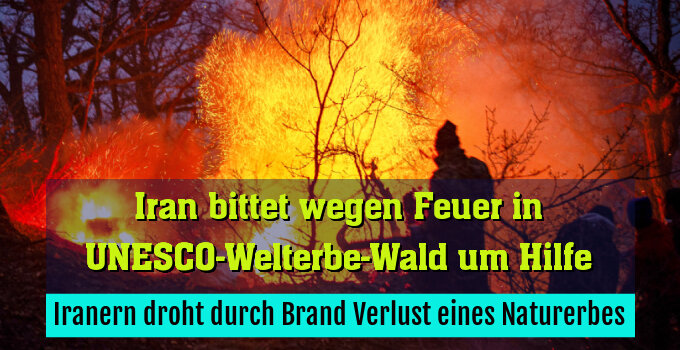Iranern droht durch Brand Verlust eines Naturerbes