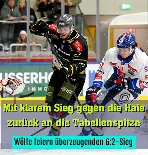Wölfe feiern überzeugenden 6:2-Sieg