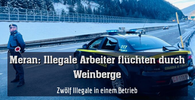 Zwölf Illegale in einem Betrieb