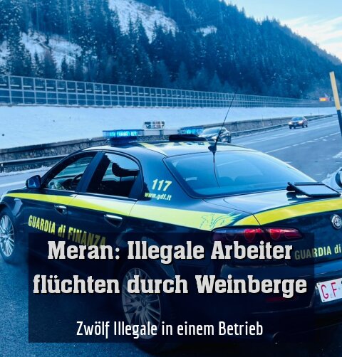 Zwölf Illegale in einem Betrieb