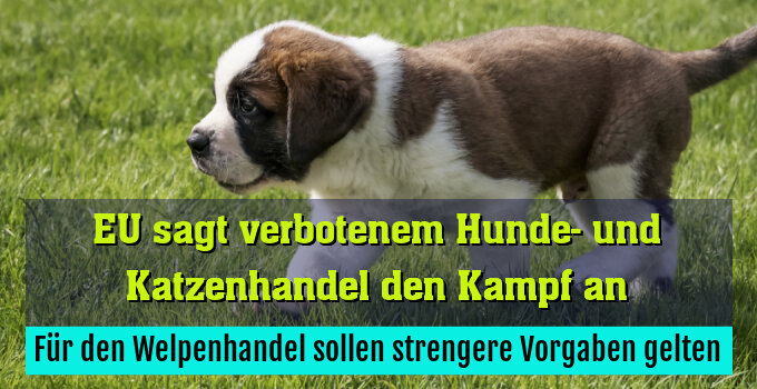 Für den Welpenhandel sollen strengere Vorgaben gelten