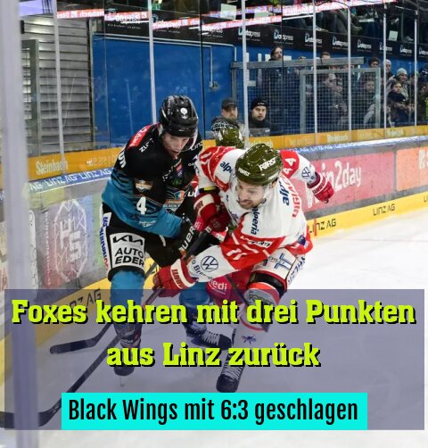 Black Wings mit 6:3 geschlagen