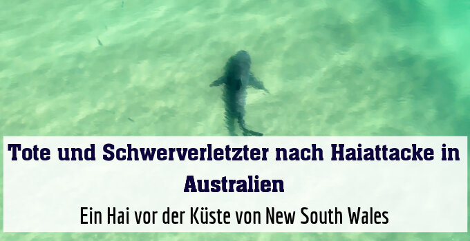 Ein Hai vor der Küste von New South Wales (Archivbild)
