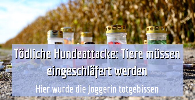 Hier wurde die Joggerin totgebissen