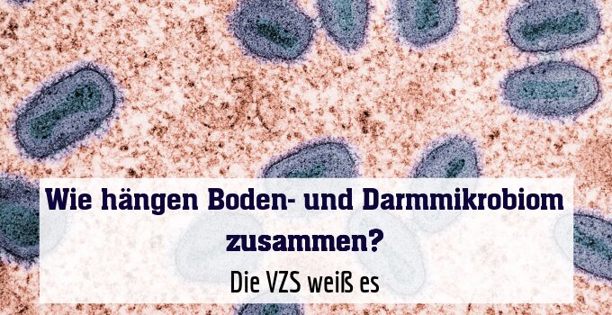 Die VZS verrät es