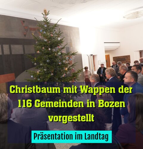 Präsentation im Landtag