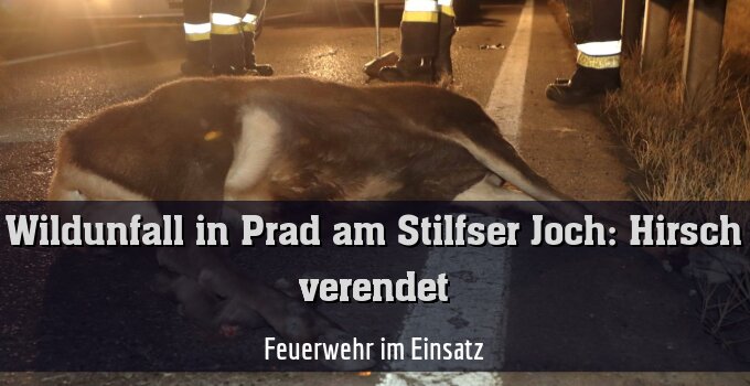 Feuerwehr im Einsatz