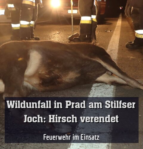 Feuerwehr im Einsatz