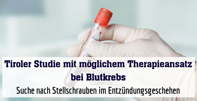 Suche nach Stellschrauben im Entzündungsgeschehen