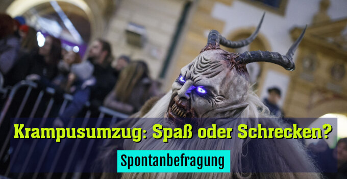 Spontanbefragung