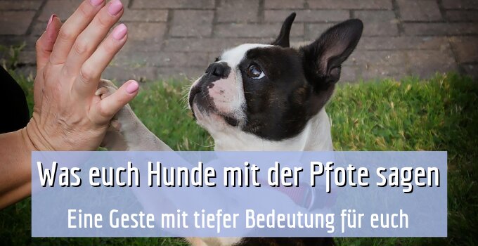 Eine Geste mit tiefer Bedeutung für euch